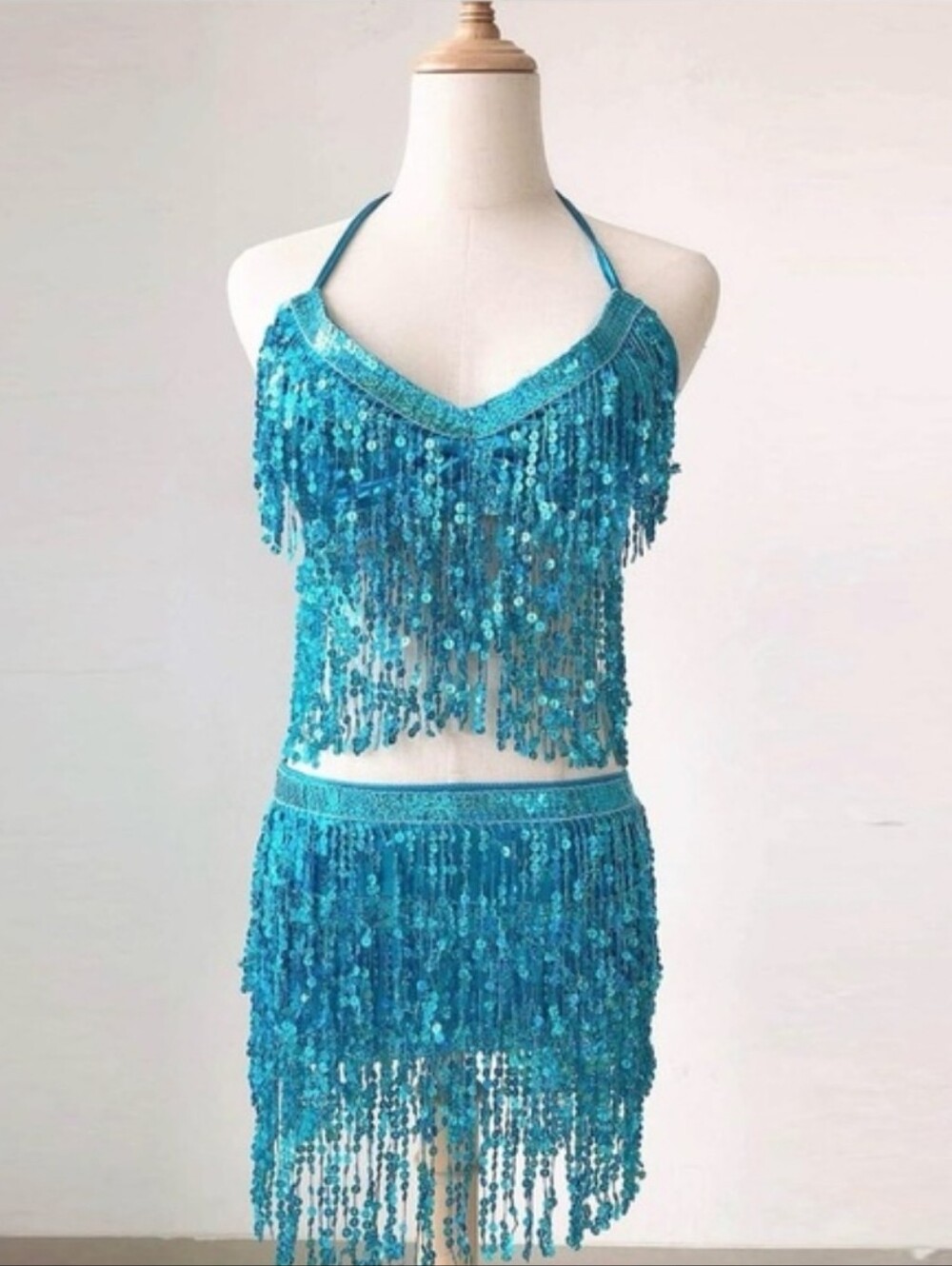 Belly Dance Skirt with Crop Top Sequins Fringe Skirts Set Party Costume OS - Picture 2 of 5